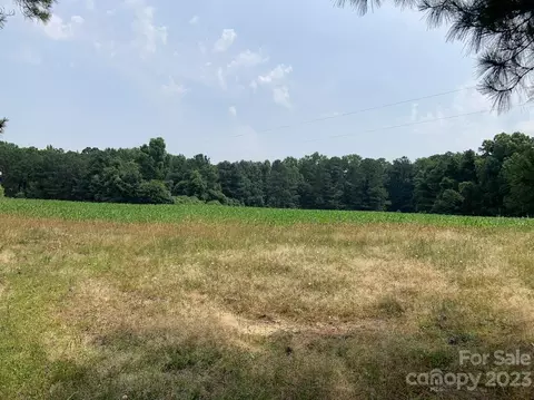 176 Ac Mt Prospect Rd, Chester, SC 29706
