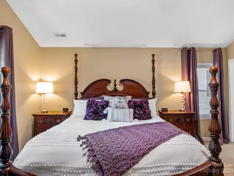 19205 Spring Lily Ct, Cornelius, NC 28031 photo 24