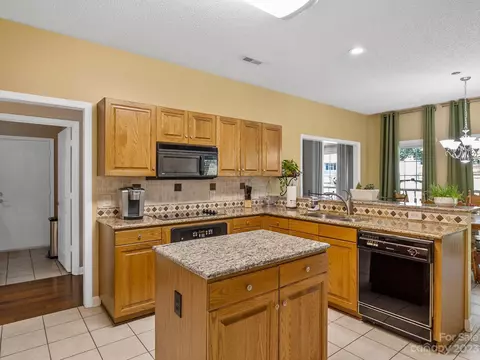 19205 Spring Lily Ct, Cornelius, NC 28031 photo 13