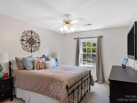 19205 Spring Lily Ct, Cornelius, NC 28031 photo 29
