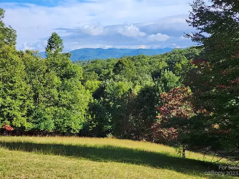369 Bush Gardens Rd, Green Mountain, NC 28740