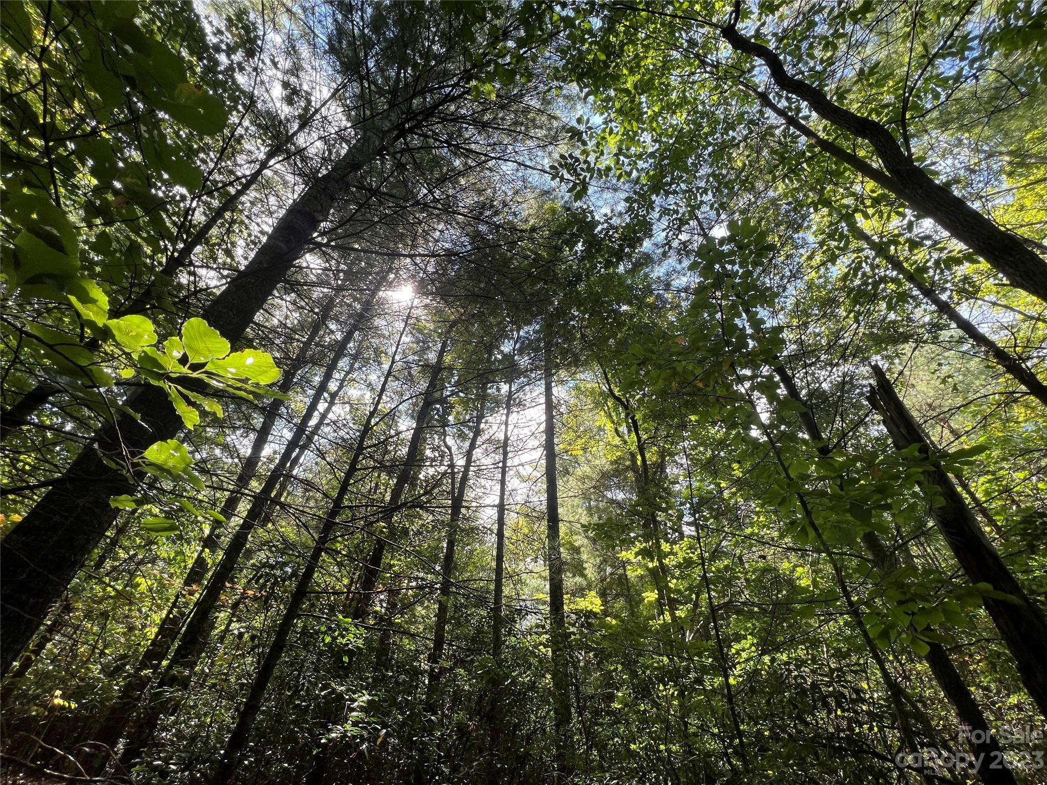 00 Waters Edge 16-15 17-15 Dr Unit 16-15 17-15  