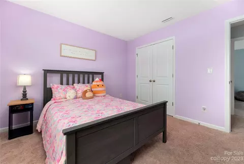 10913 Angler Ct, Davidson, NC 28036 photo 29