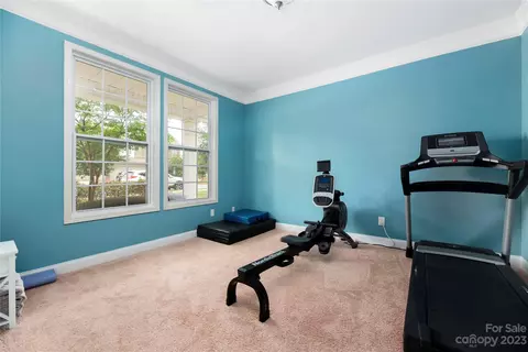 10913 Angler Ct, Davidson, NC 28036 photo 16