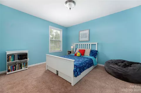 10913 Angler Ct, Davidson, NC 28036 photo 25