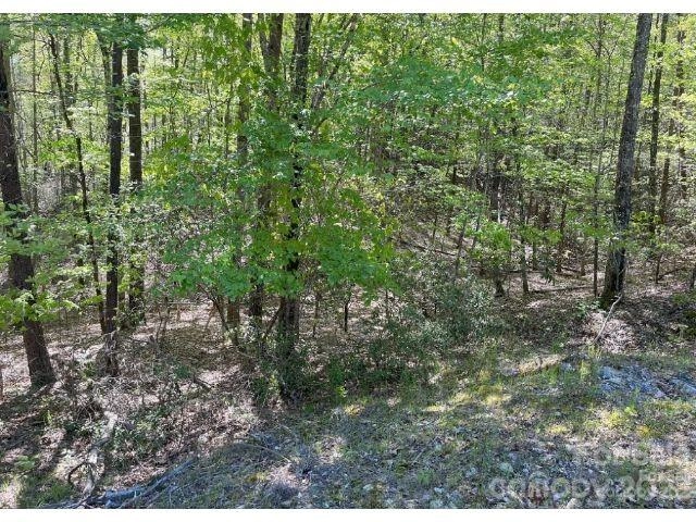 00 Old Crows 1 Rd Unit 1