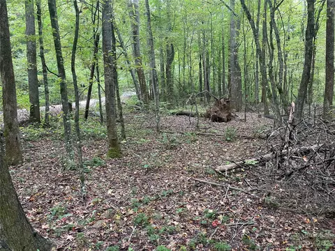 Haven Heights Drive, Marion, NC 28752