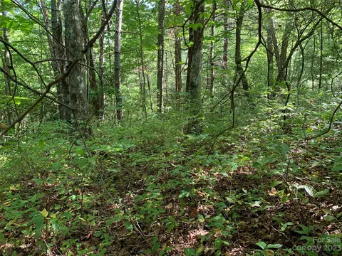 9999 Chemin Jacques Dr, Brevard, NC 28712 photo 5