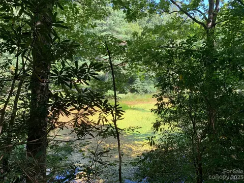 9999 Chemin Jacques Dr, Brevard, NC 28712 photo 2