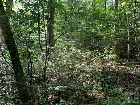 9999 Chemin Jacques Dr, Brevard, NC 28712 photo 4