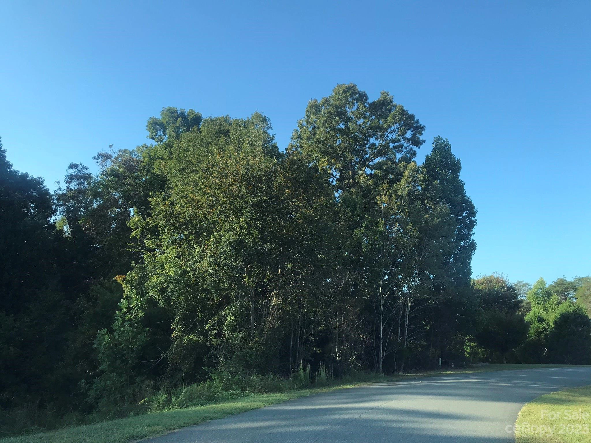 117 Blue Sky 21 Cir Unit 21  