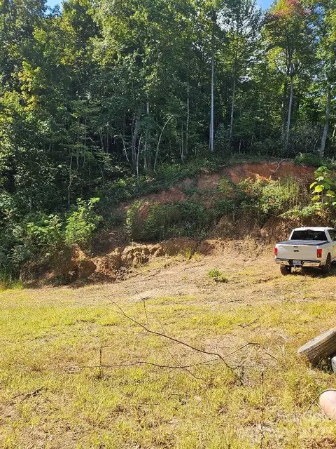 1051 Thomas Branch Rd, Marshall, NC 28753