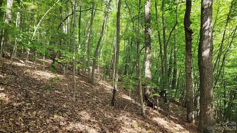 White Fawn Drive, Spruce Pine, NC 28777