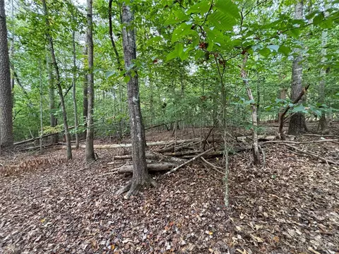 00 Artesian Ln, Tryon, NC 28782 photo 21