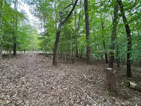 00 Artesian Ln, Tryon, NC 28782 photo 17