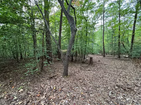 00 Artesian Ln, Tryon, NC 28782 photo 24