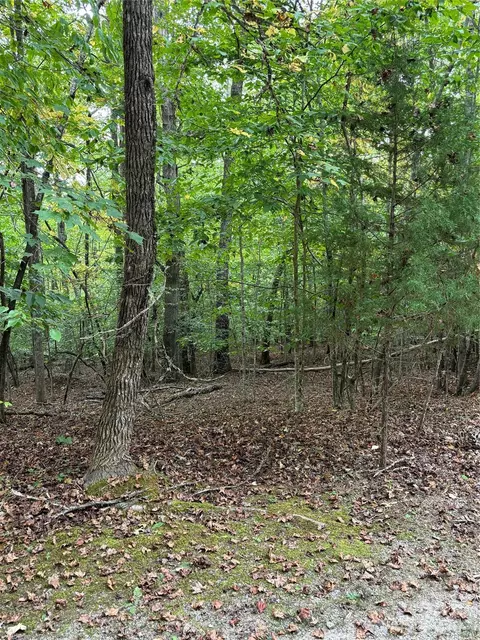 00 Artesian Ln, Tryon, NC 28782 photo 29