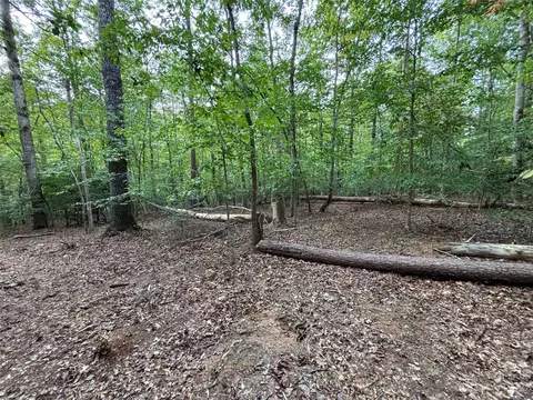 00 Artesian Ln, Tryon, NC 28782 photo 27