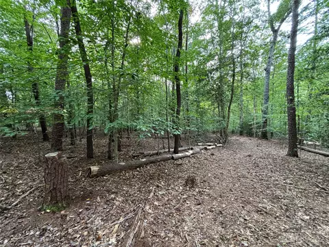 00 Artesian Ln, Tryon, NC 28782 photo 11