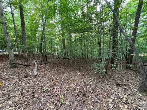 00 Artesian Ln, Tryon, NC 28782 photo 26