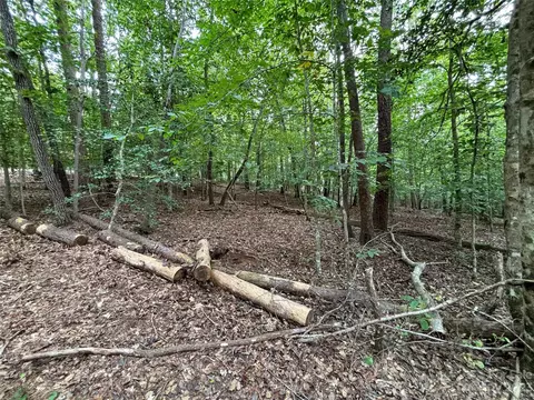 00 Artesian Ln, Tryon, NC 28782 photo 32