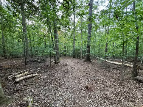 00 Artesian Ln, Tryon, NC 28782 photo 22