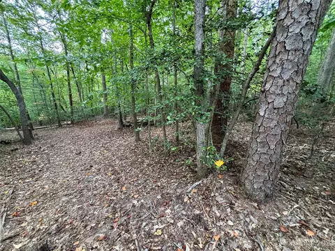 00 Artesian Ln, Tryon, NC 28782 photo 15
