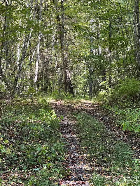 3845 Hamburg Rd, Mars Hill, NC 28754