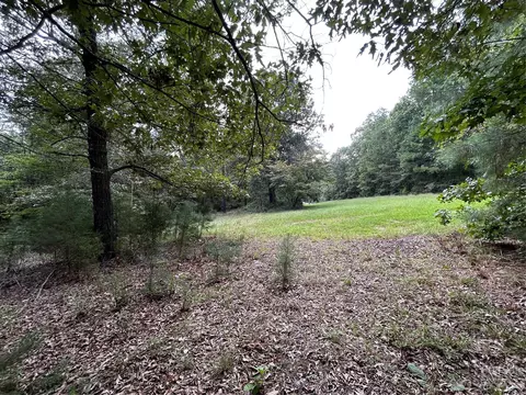 0 Medlin Rd, Monroe, NC 28112 photo 3