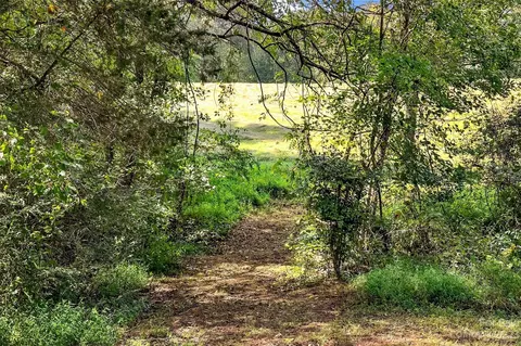 Sipe Road, Conover, NC 28613 photo 39