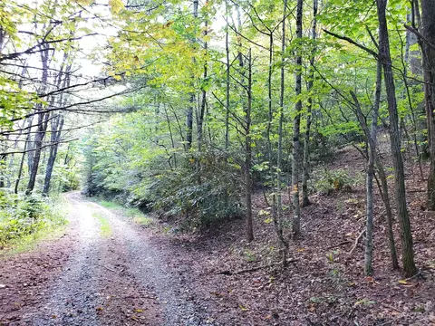 123 Rhoneys View 123 Rd #1,2,3, Newland, NC 28657