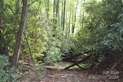 16 Lookout Drive #16, Pisgah Forest, NC 28768