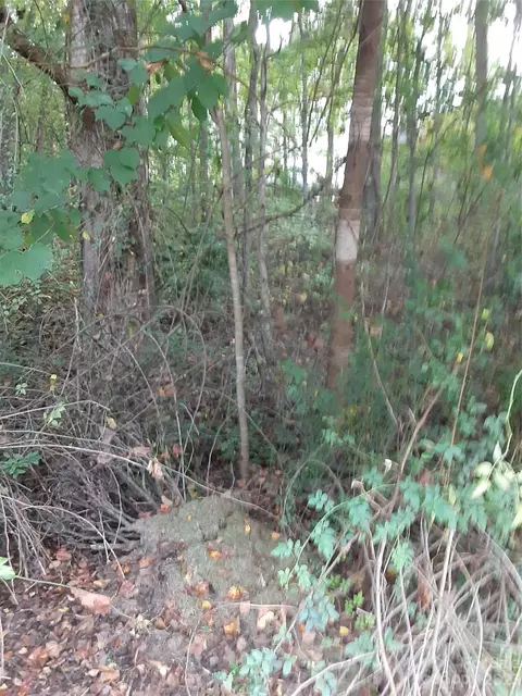 0 Lenora Ln, Sylva, NC 28779