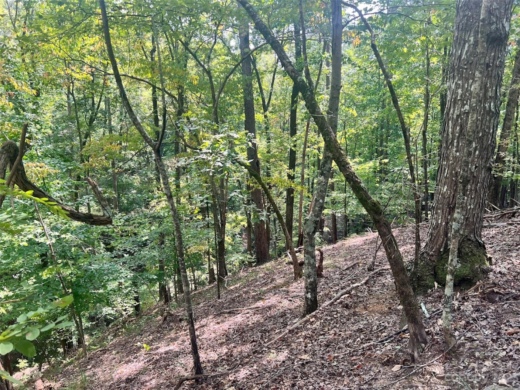 0 Wolf River 31 Ln Unit 31  