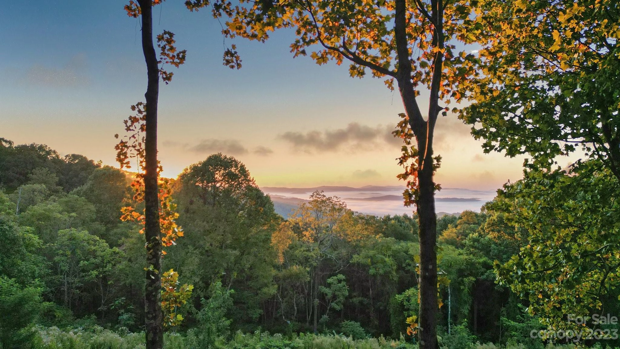 158 Laurel Ledge 28 Way Unit 28  