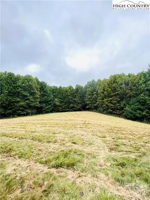 Topia Road, Piney Creek, NC 28663