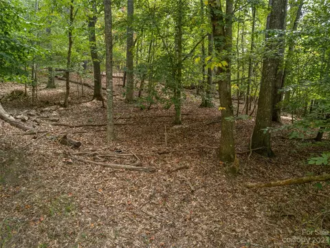 00 River Rd, Columbus, NC 28722 photo 31