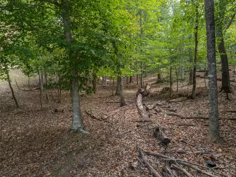 00 River Rd, Columbus, NC 28722 photo 25