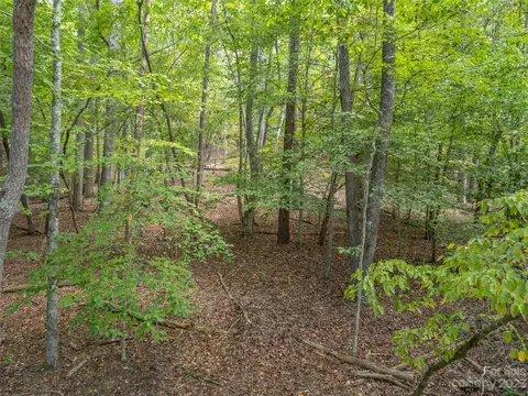 00 River Rd, Columbus, NC 28722 photo 22