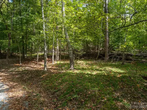 00 River Rd, Columbus, NC 28722 photo 17