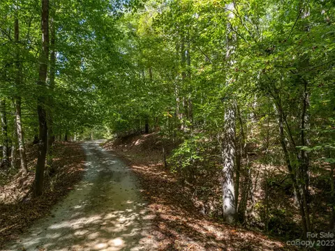 00 River Rd, Columbus, NC 28722 photo 12