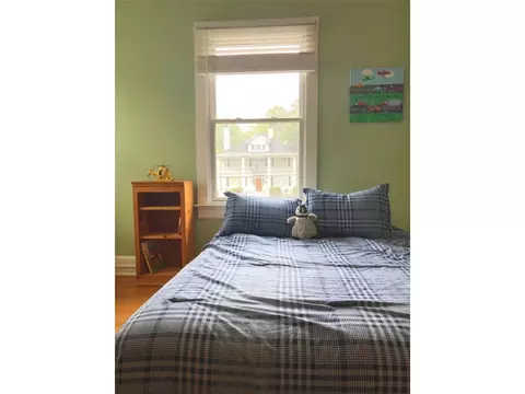 207 Probart St, Brevard, NC 28712 photo 25