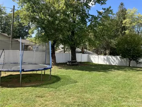 207 Probart St, Brevard, NC 28712 photo 9