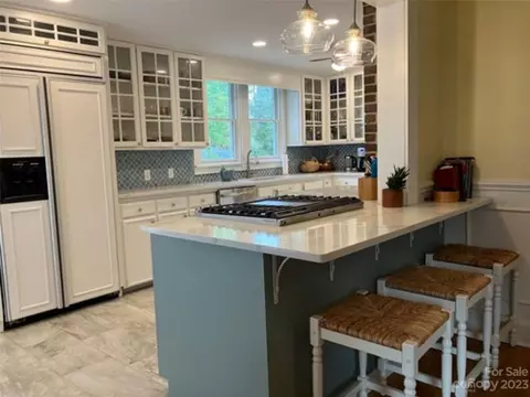 207 Probart St, Brevard, NC 28712 photo 11
