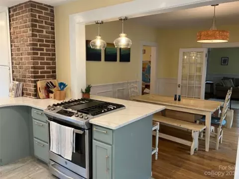 207 Probart St, Brevard, NC 28712 photo 10