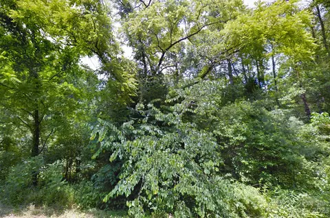 00 Piney Rd, Morganton, NC 28655 photo 2
