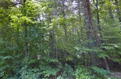 00 Piney Rd, Morganton, NC 28655 photo 9