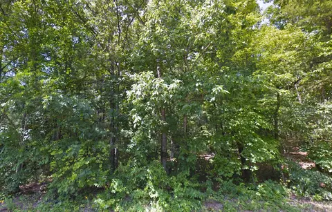 00 Piney Rd, Morganton, NC 28655 photo 3