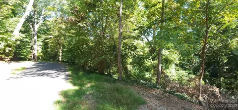 45 Acre Payne St, Tryon, NC 28782 photo 6