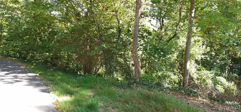 45 Acre Payne St, Tryon, NC 28782 photo 2